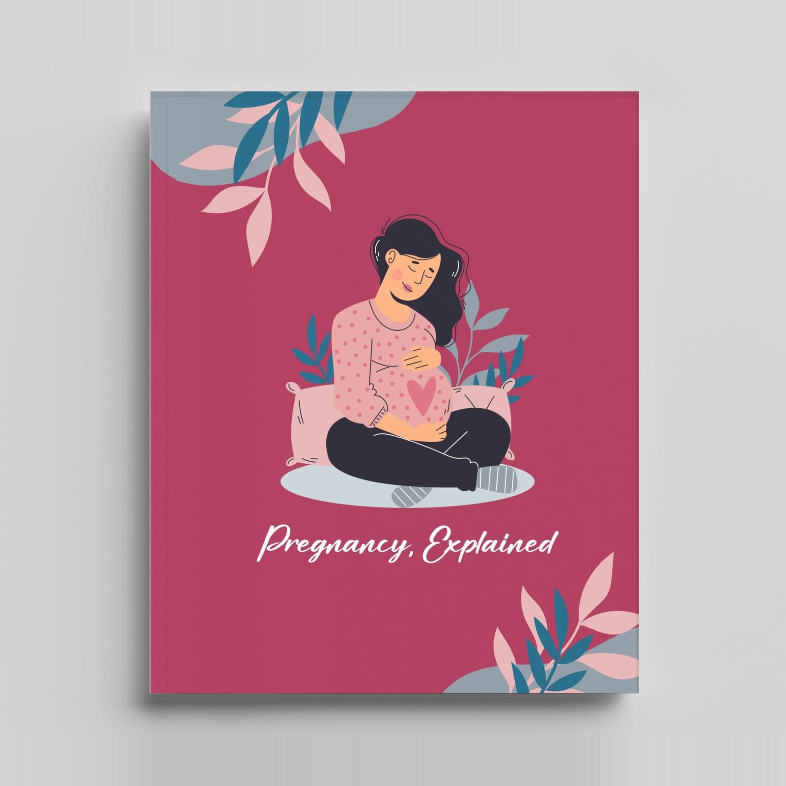 Pregnancy, Explained cover — Skitbooks